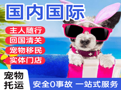 温州龙湾机场货运国际宠物托运 【国